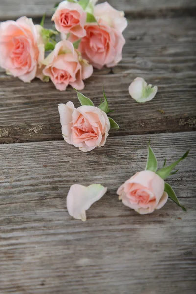 ピンクのバラの花束 — ストック写真