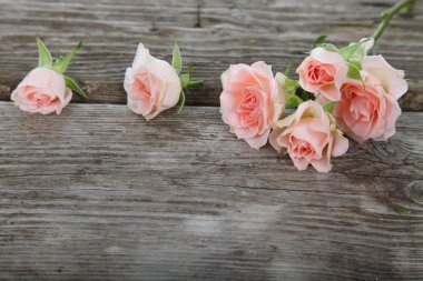 Bir buket pembe gül. 