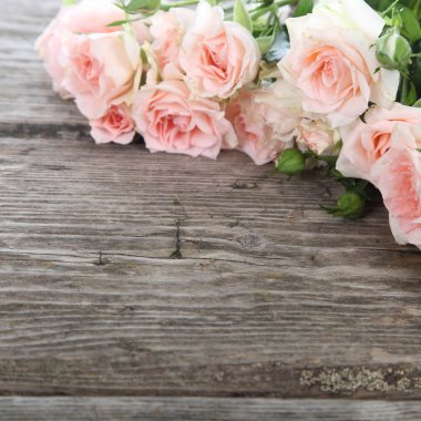 Bir buket pembe gül.