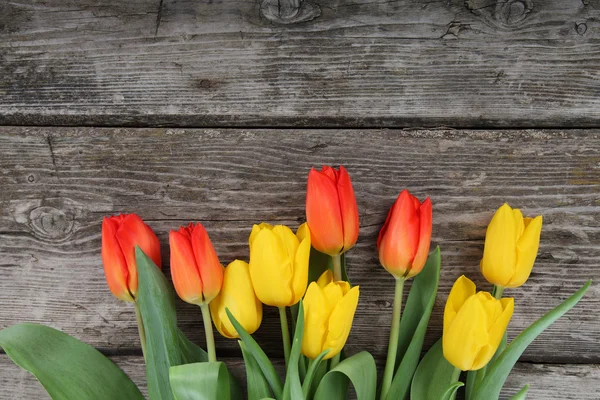 郁金香花束 — 图库照片