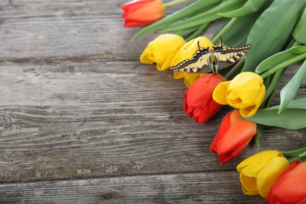 Boeket tulpen — Stockfoto