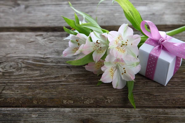 Witte alstroemeria en gift — Stockfoto