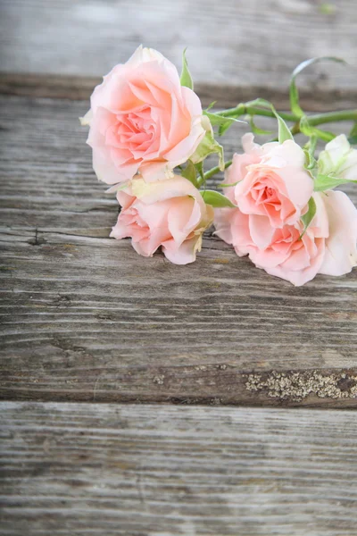 Ramo de rosas rosadas —  Fotos de Stock