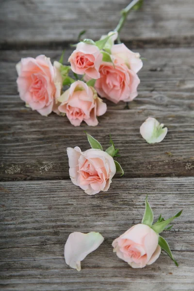 Boeket van roze rozen — Stockfoto