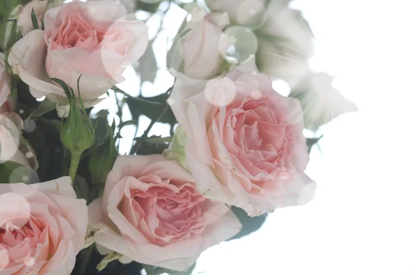 Ramo de flores rosadas y blancas — Foto de Stock