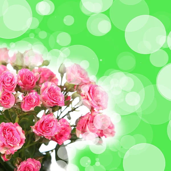 Bouquet of pink roses — Stock Photo, Image