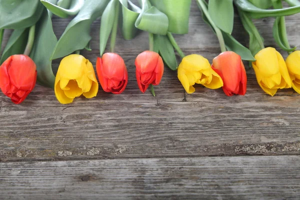 Oranžové a žluté tulipány — Stock fotografie