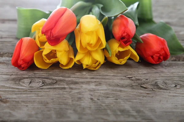 Orange und gelbe Tulpen — Stockfoto