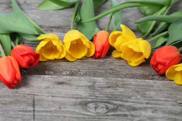 Помаранчеві і жовті тюльпани — стокове фото