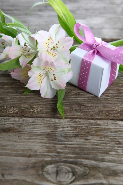 Alstroemeria blanc et cadeau — Photo