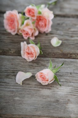 Bir buket pembe gül. 