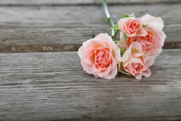 Bouquet de roses roses — Photo