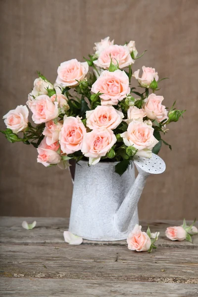 Rosas rosa em regar pode — Fotografia de Stock
