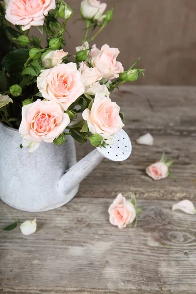 Rosas rosadas en regadera —  Fotos de Stock