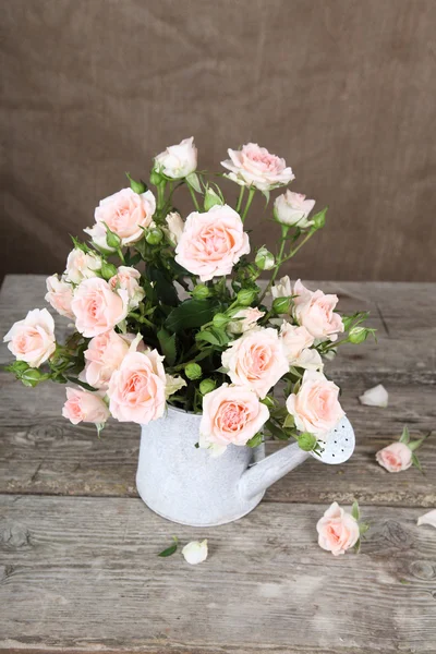 Pink roses  in watering can — Stock Photo, Image