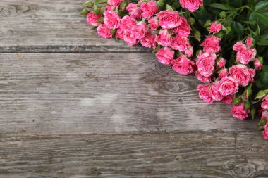 Güzel pembe güller