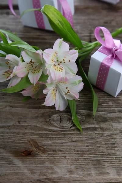 Hvit alstroemeria – stockfoto