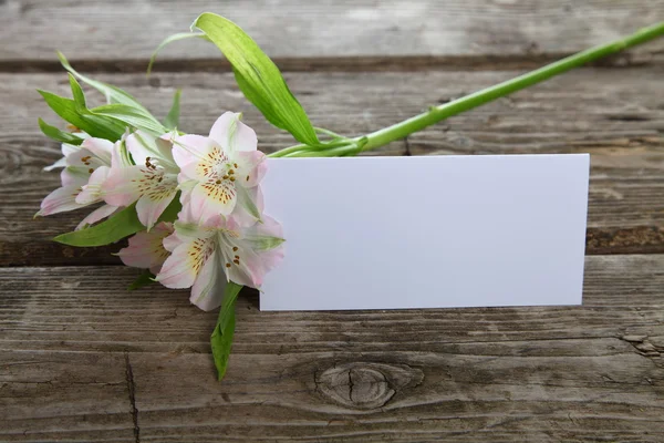 Beyaz alstroemeria ve tebrik kartı — Stok fotoğraf