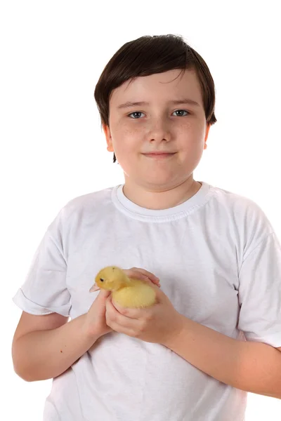 Uśmiechnięty chłopiec trzyma kaczątko — Zdjęcie stockowe