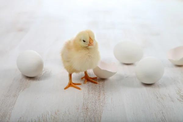 Poulet jaune et œufs — Photo