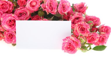 Bir buket pembe gül. 