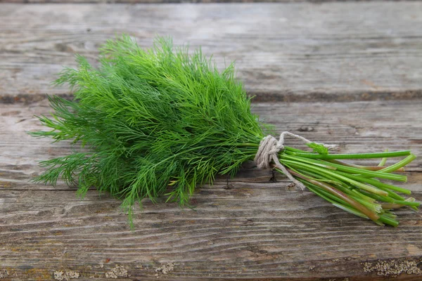 Dill — Stock Photo, Image