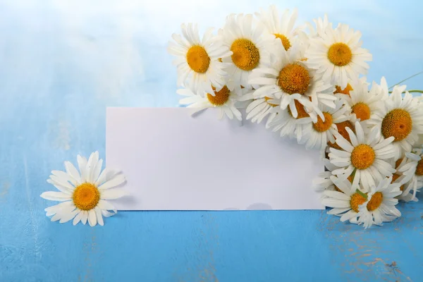 Beautiful chamomiles and greeting card — Stock Photo, Image