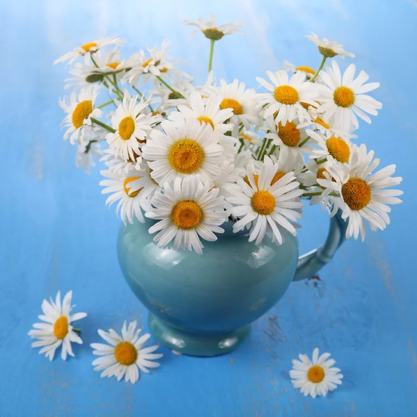 Beautiful chamomiles in a blue jug — Stock Photo, Image