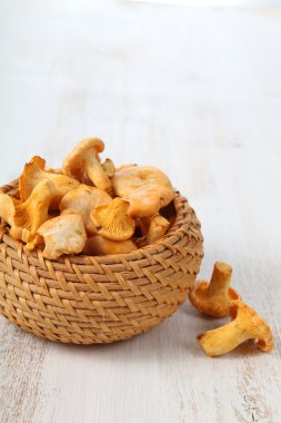 Chanterelles