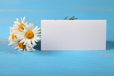 Güzel chamomiles ve tebrik kartı