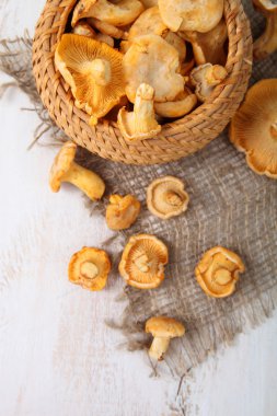 Chanterelles 