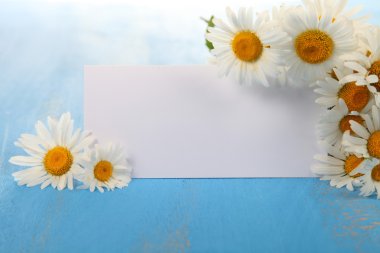 Güzel chamomiles ve tebrik kartı 