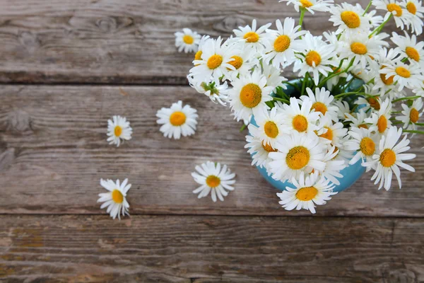 Beautiful chamomiles in a blue jug — Stock Photo, Image