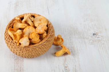 Sepette Chanterelles 