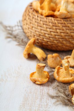 Sepette Chanterelles 