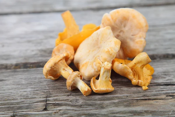 Chanterelles in a basket — Stock Photo, Image