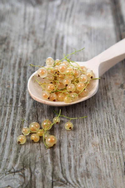 Reife weiße Johannisbeeren — Stockfoto