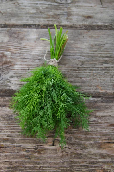 Dill. — Fotografia de Stock