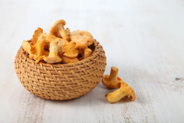 Chanterelles — Fotografia de Stock