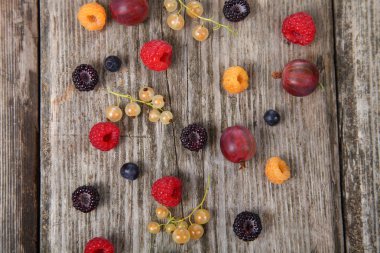 farklı olgun çilek