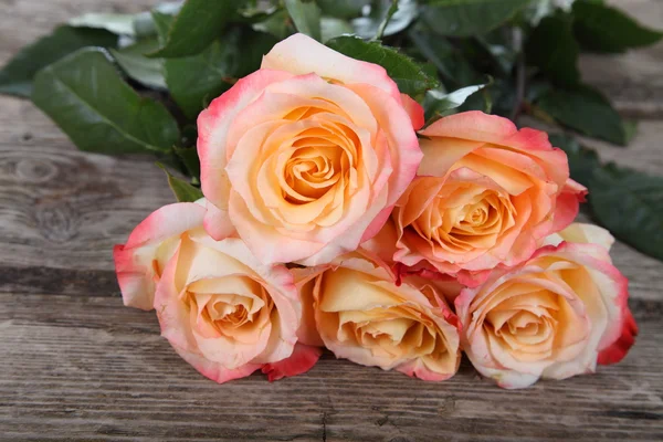 Piękne różowe róże — Zdjęcie stockowe