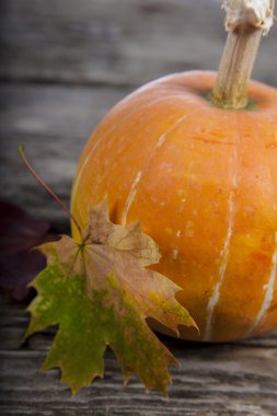 kabak ve sonbahar yaprakları