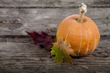 kabak ve sonbahar yaprakları