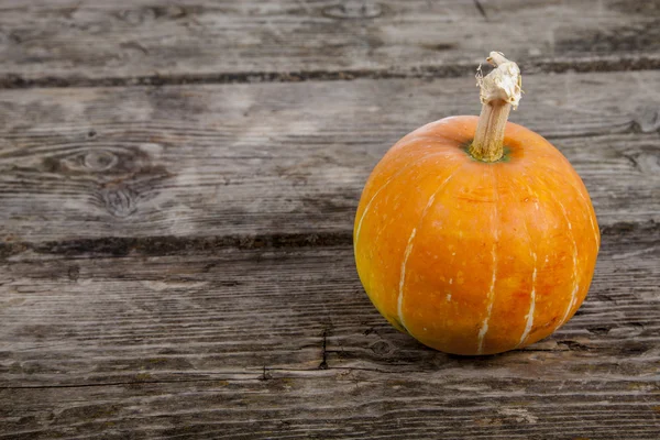 Pumpkin and fall leaves — Stock Photo, Image