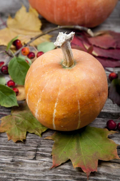 Pumpkins and fall leaves — Stock Photo, Image