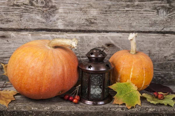 Pumpkins and fall leaves — Stock Photo, Image