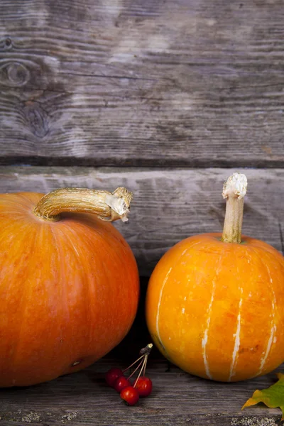 Citrouilles et feuilles d'automne — Photo