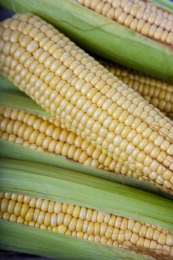 Mısır eski bir ahşap zemin üzerine