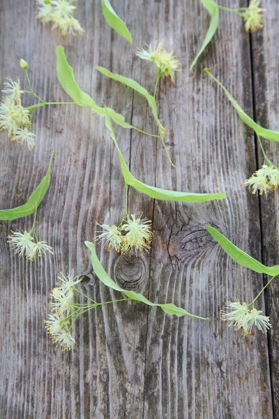 Lindenblüten auf einem alten Holztisch — Stockfoto