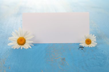 Güzel chamomiles ve tebrik kartı  